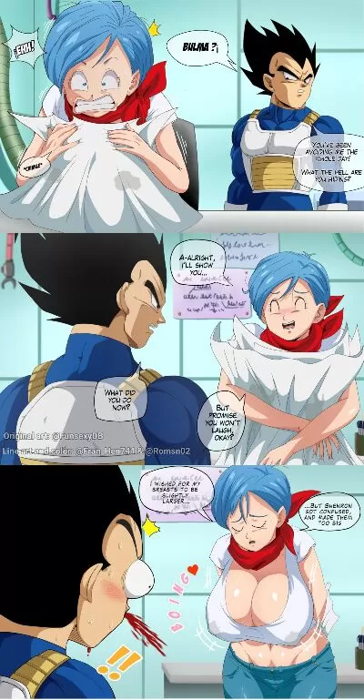 FunsexyDB – Bulma’s New Boobs (Dragon Ball Super) - Page 0
